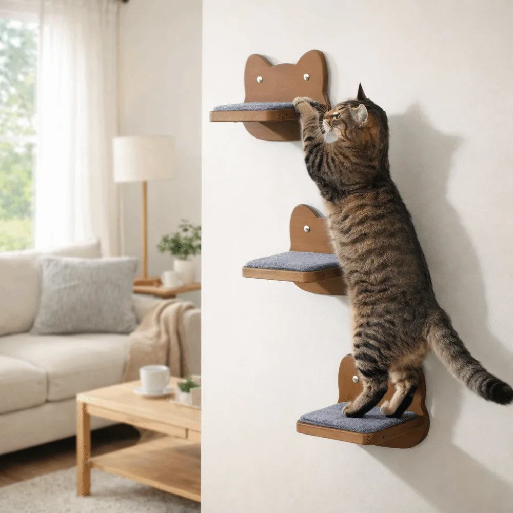 Étagère murale en bois pour chat